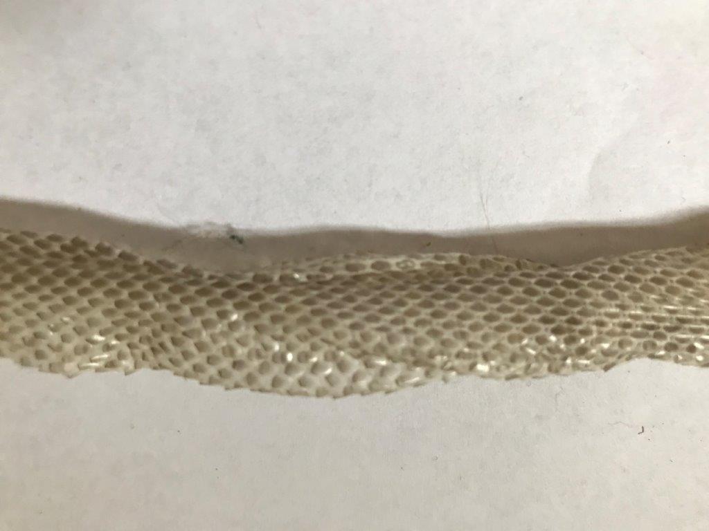 Green Bay snake skin